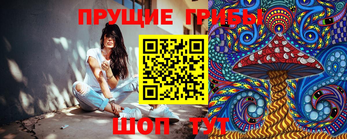 Галлюциногенные грибы Psilocybe  Вход с VPN  Нижнеудинск  Псилоцибиновые грибы мицелий 