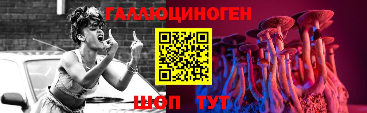 Галлюциногенные грибы Psilocybe Нижнеудинск